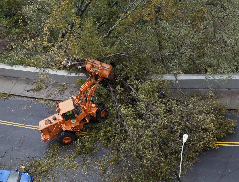 An Aerial View of a Tractor Cutting Down a Tree on the Side of a Road — A Grade Tree Services in Burpengary, QLD