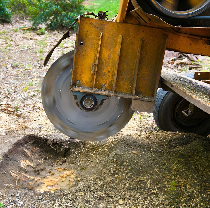A Machine is Cutting a Tree Stump in the Ground — A Grade Tree Services in Aspley, QLD