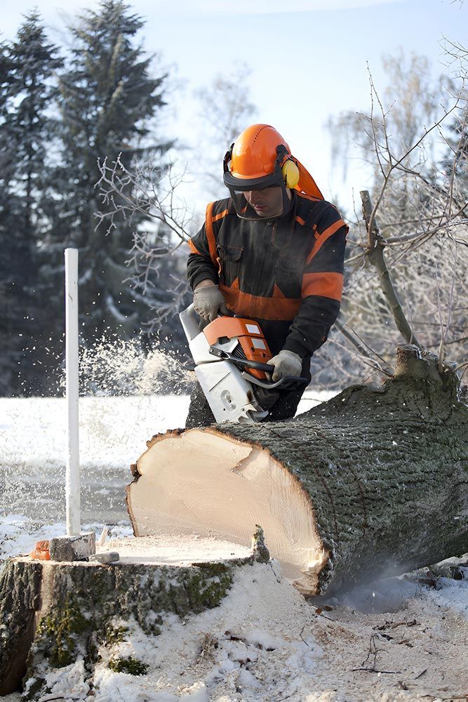 A Man is Cutting a Tree Stump With a Chainsaw — A Grade Tree Services in Elimbah, QLD