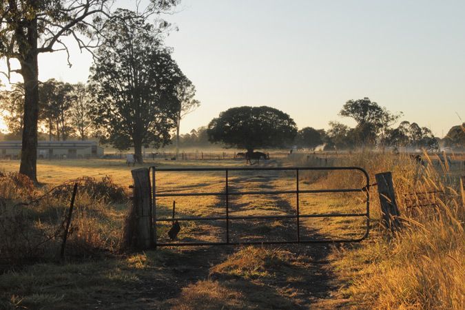 A Gate in a Field With Trees in the Background — A Grade Tree Services in Morayfield, QLD
