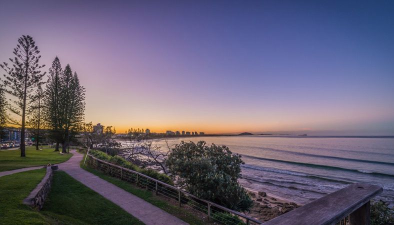 A Path Leading to the Ocean at Sunset — A Grade Tree Services in Sandgate, QLD