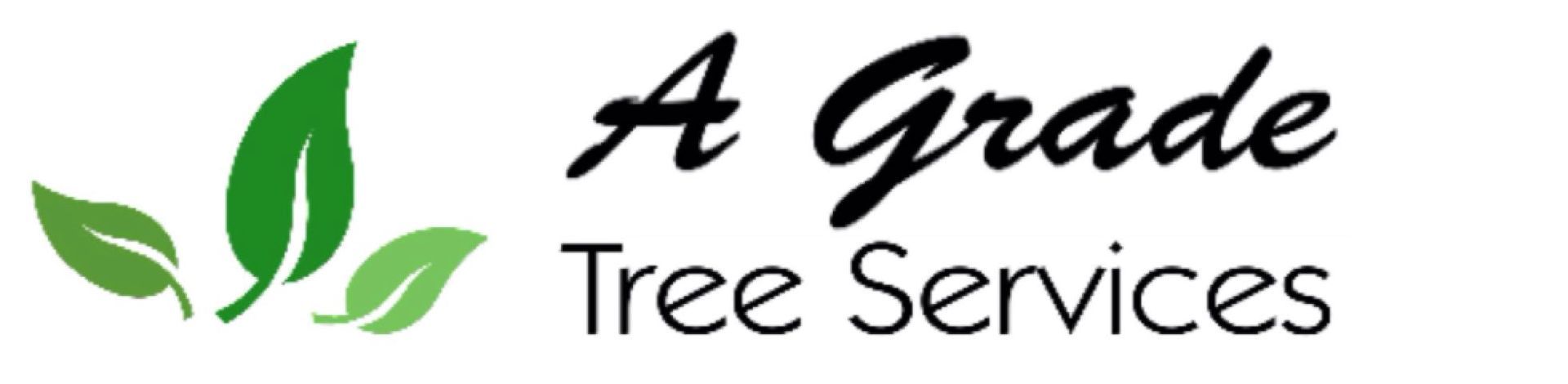 Tree Removal in Burpengary