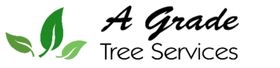 Tree Removal in Burpengary