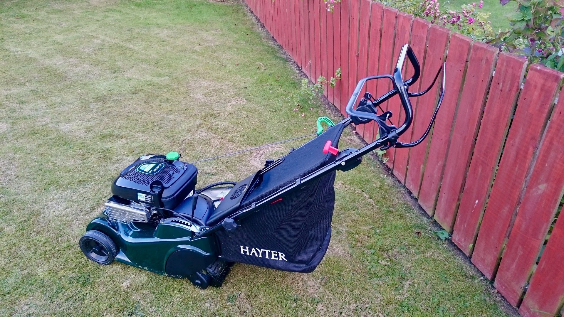 Photograph of a Hayter Harrier 41 petrol lawnmower with Autodrive, parked on a lawn.
