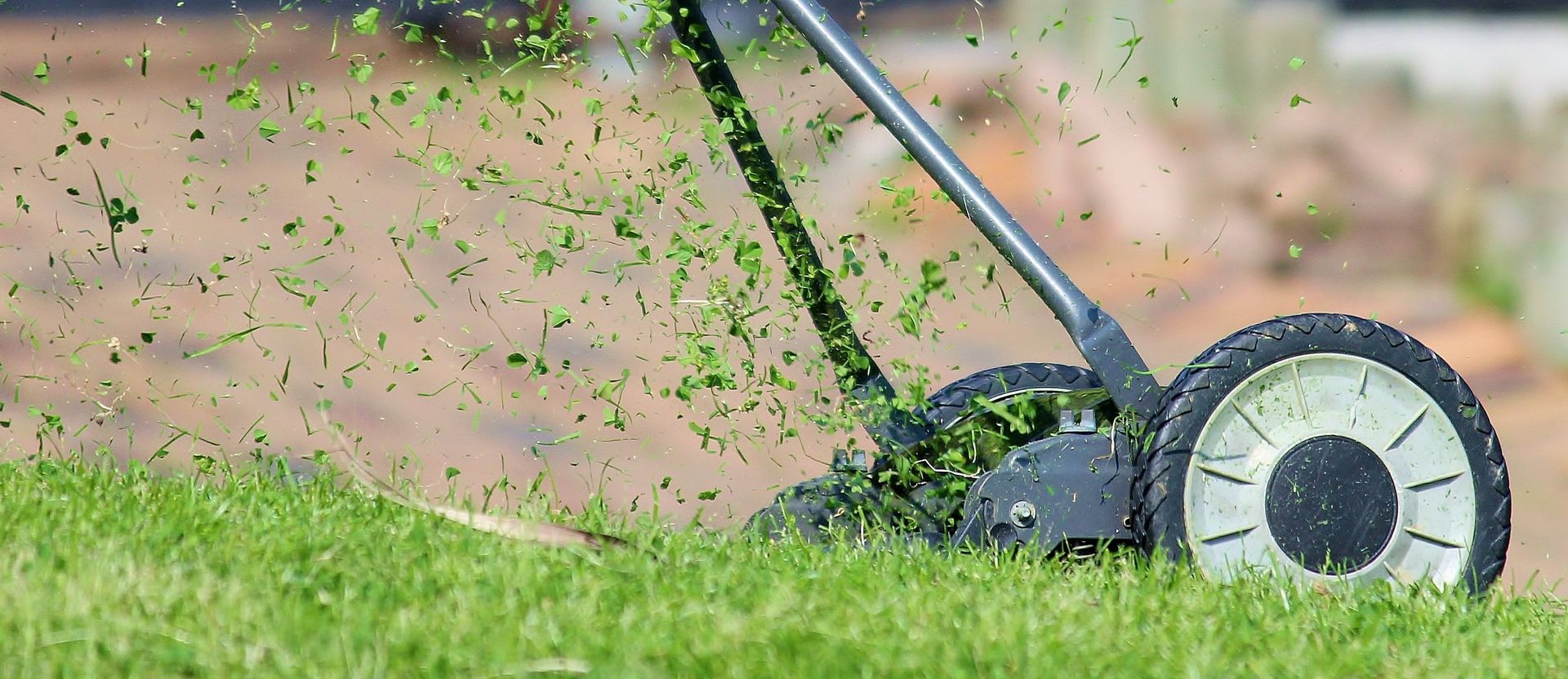 Photograph of a lawn being cut using a hand powered, cylinder or 'reel' type mower.