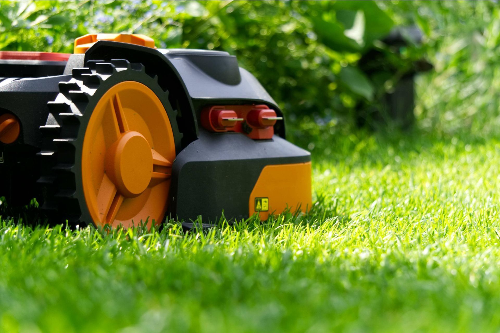 Photograph of grass being cut with a black and yellow, cordless, battery electric, robotic mower.