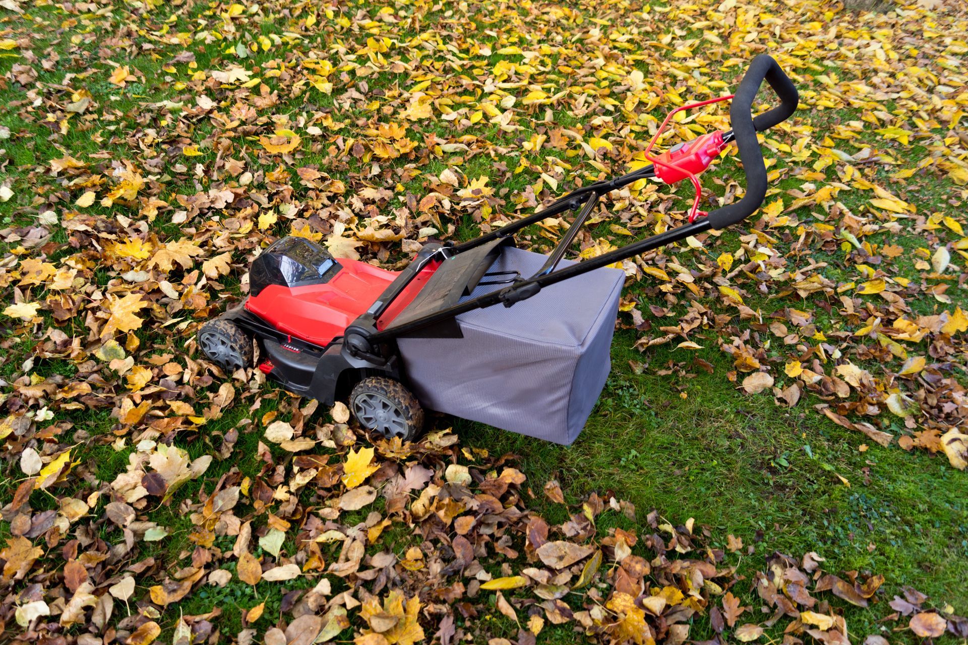 Photograph of a red battery lawnmower collecting fallen leaves.