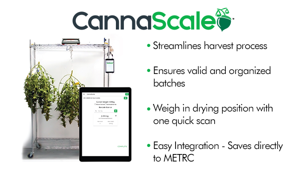 Maryland METRC and Cannabis Cultivation Info | StashStock