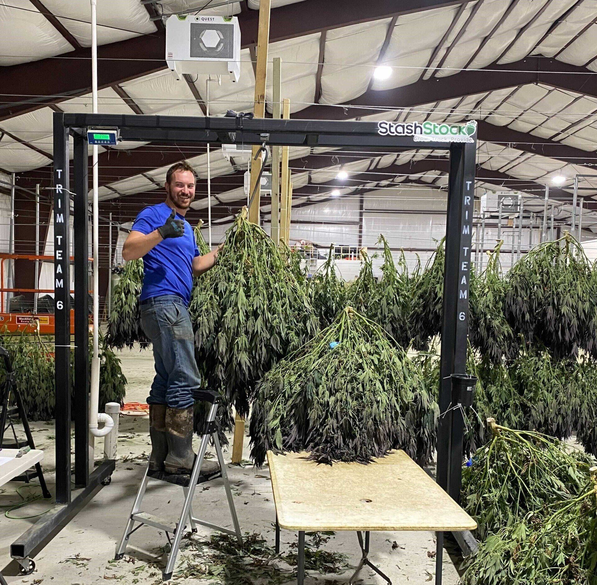 StashStock's CannaScale fitted for weighing cannabis plants at an outdoor grow