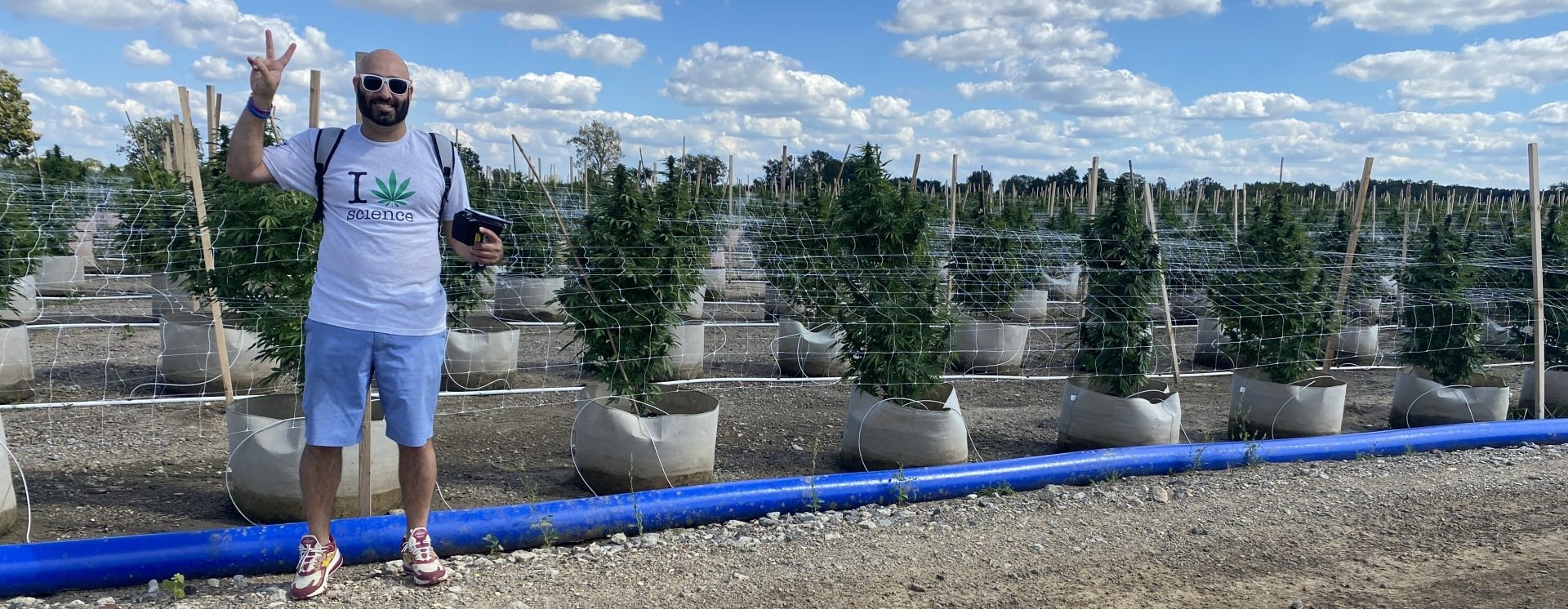 Stashstock's VP of Sales Scott Moazzen at an outdoor cannabis grow