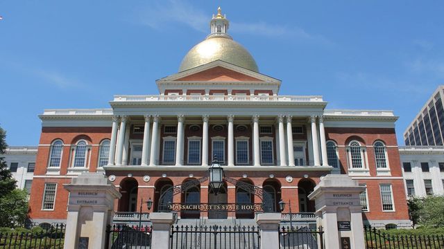 Massachusetts METRC and Cannabis Cultivation Info | StashStock