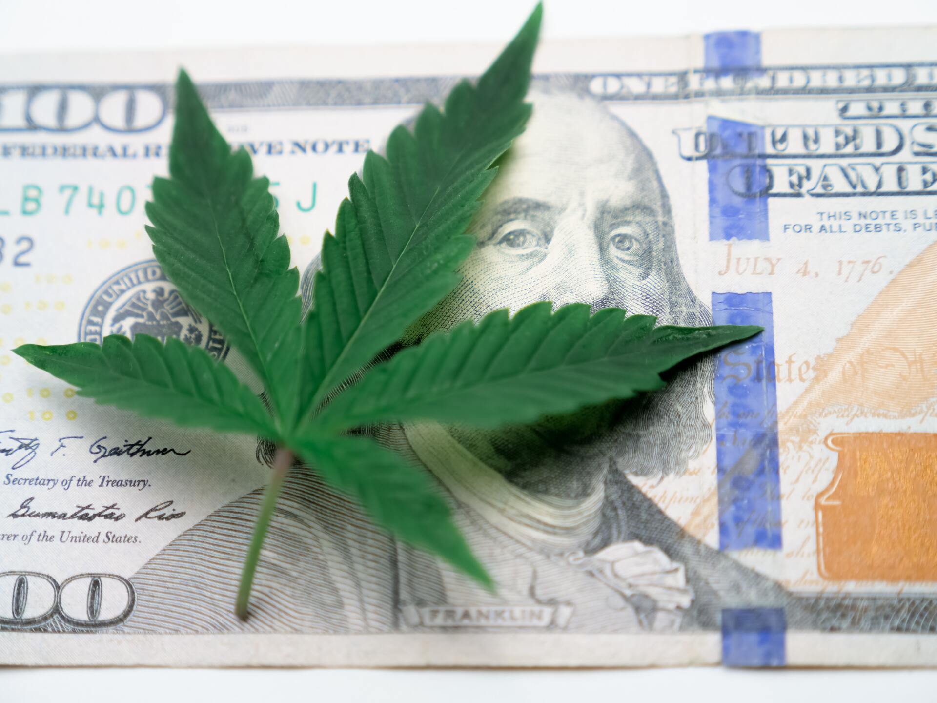 cannabis leaf on top of a US $100 bill