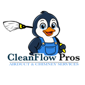 CleanFlow Pros