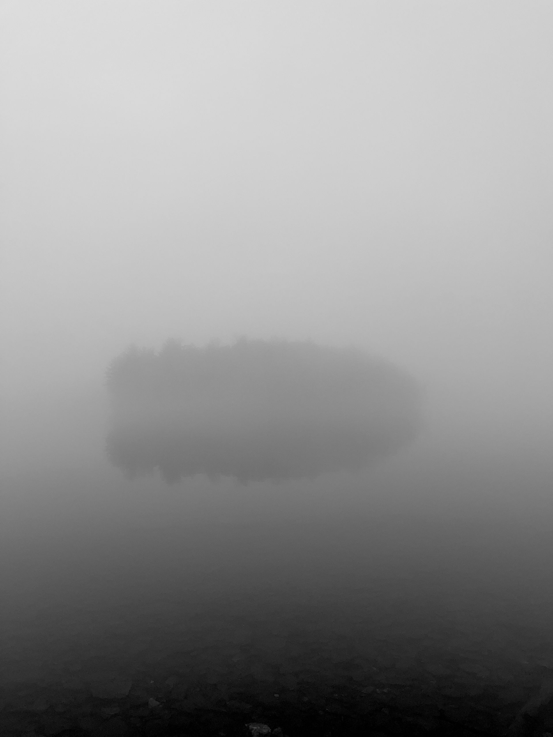 Foggy lake with a dark island in the center; grey tones.