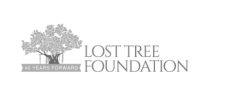 lost tree foundation logo