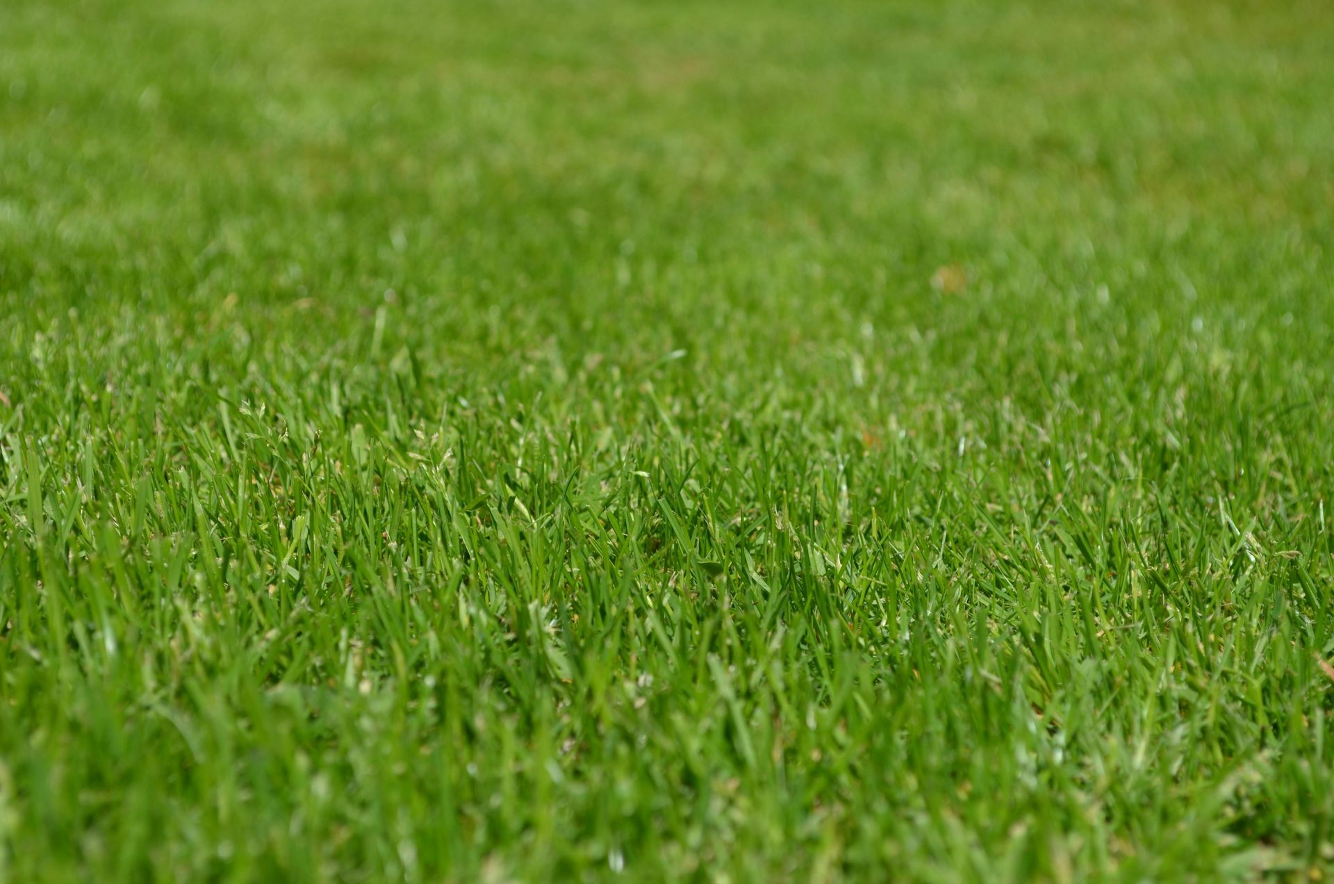 A man is cutting grass with a lawn mower in the background.