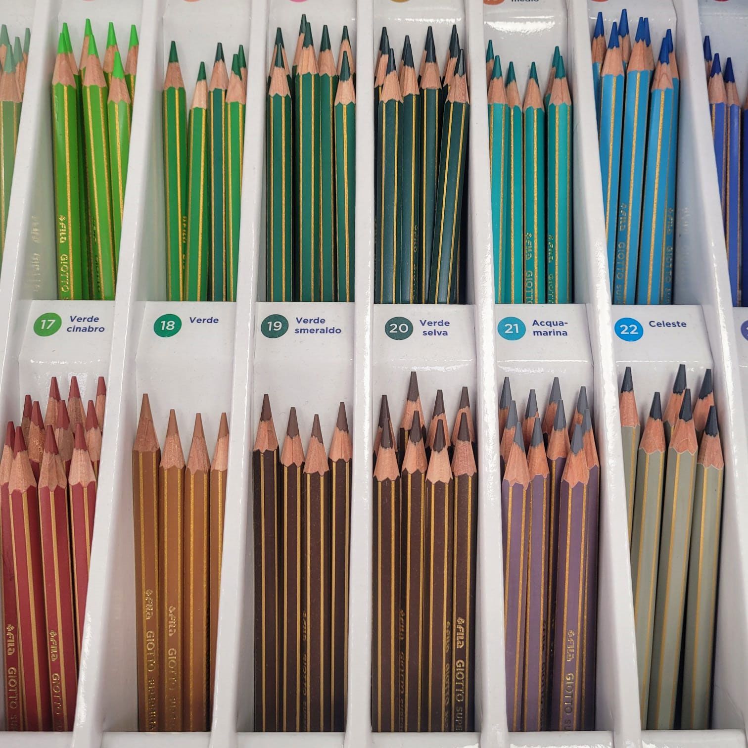 Matite colorate sono disposte in scaffali