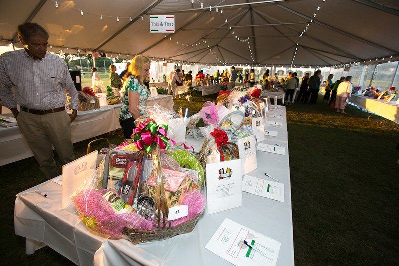 Overview of the Silent Auction