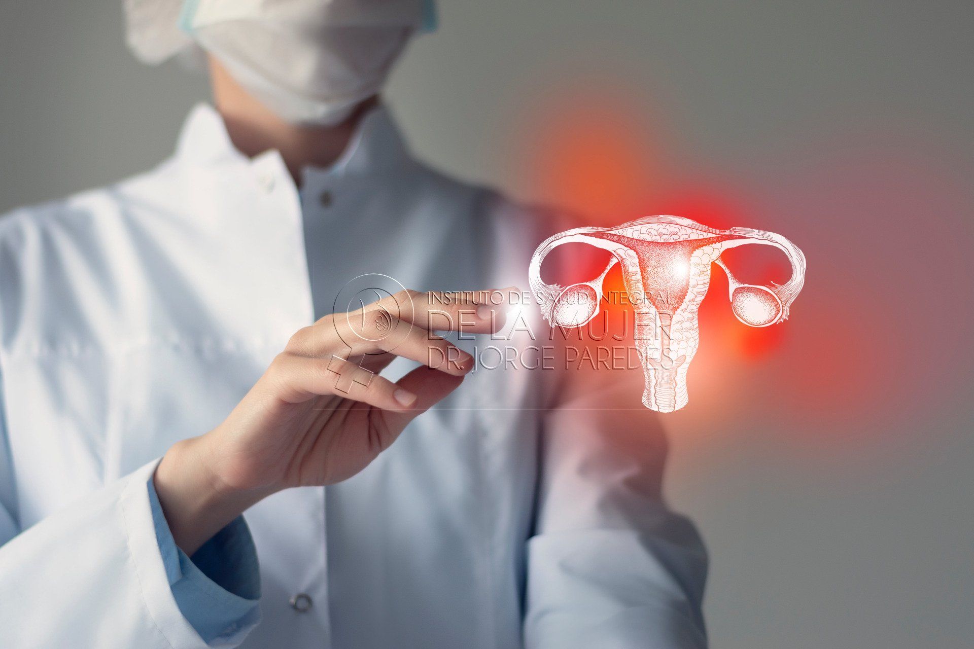 médico con un diagrama del aparato reproductor femenino interno