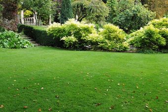 If you are searching for a landscaper who can turn the garden of your dreams into reality then call us