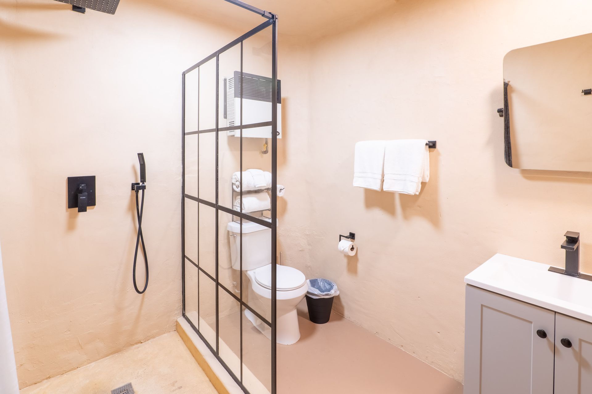 A bathroom with a walk in shower , toilet , sink and mirror.