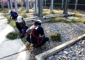 Workers in Safety Gear Inspecting Gravel and Vegetation — Vantage Plumbing and Drainage In Pacific Pines, QLD
