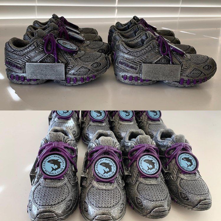 A Pair of Silver Shoes with Purple Laces and A Blue Circle with A Shark on It — Framing Alternative in Woy Woy, NSW