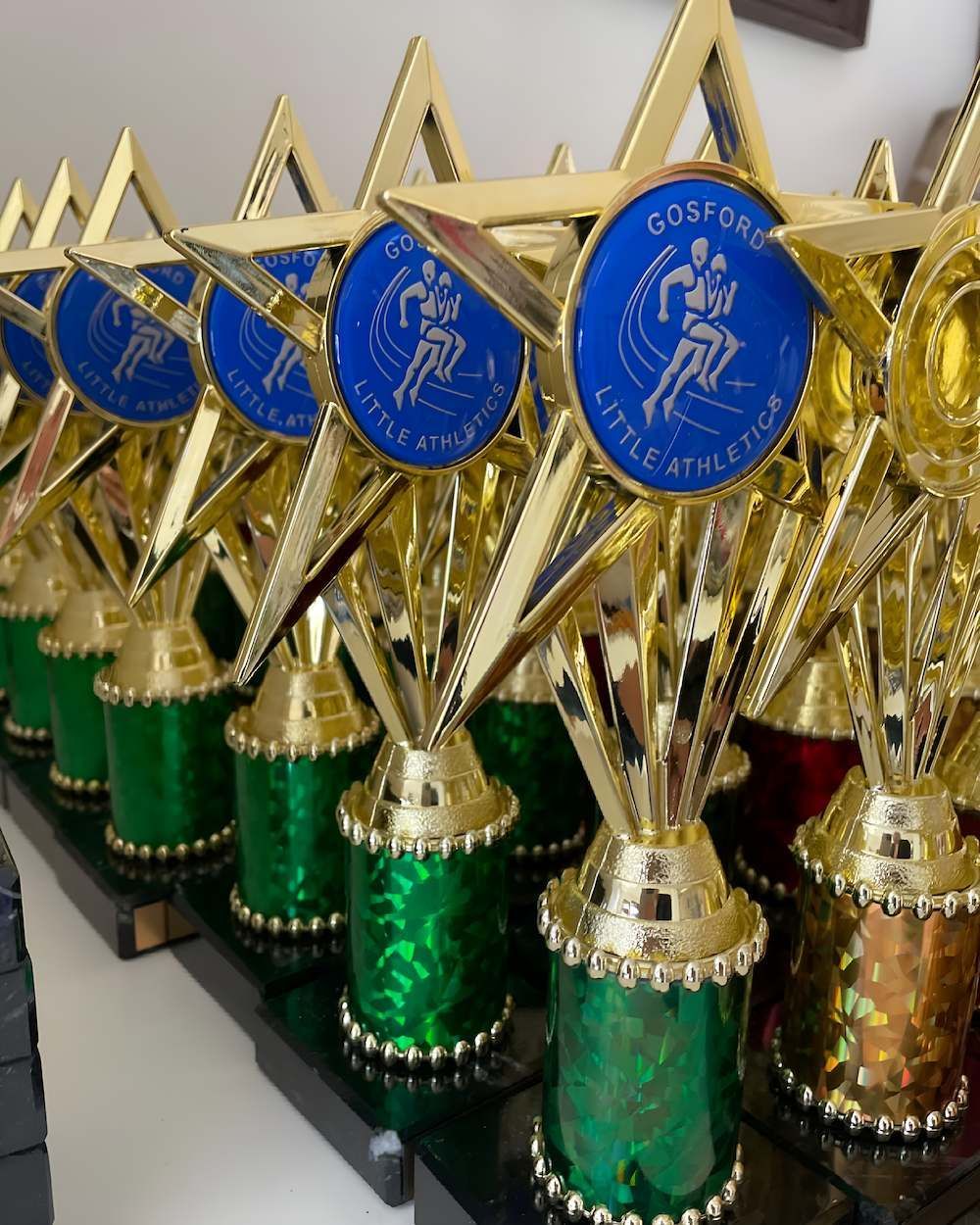 A Row of Gold and Green Trophies Are Lined Up on a Table — Framing Alternative in Erina Heights, NSW