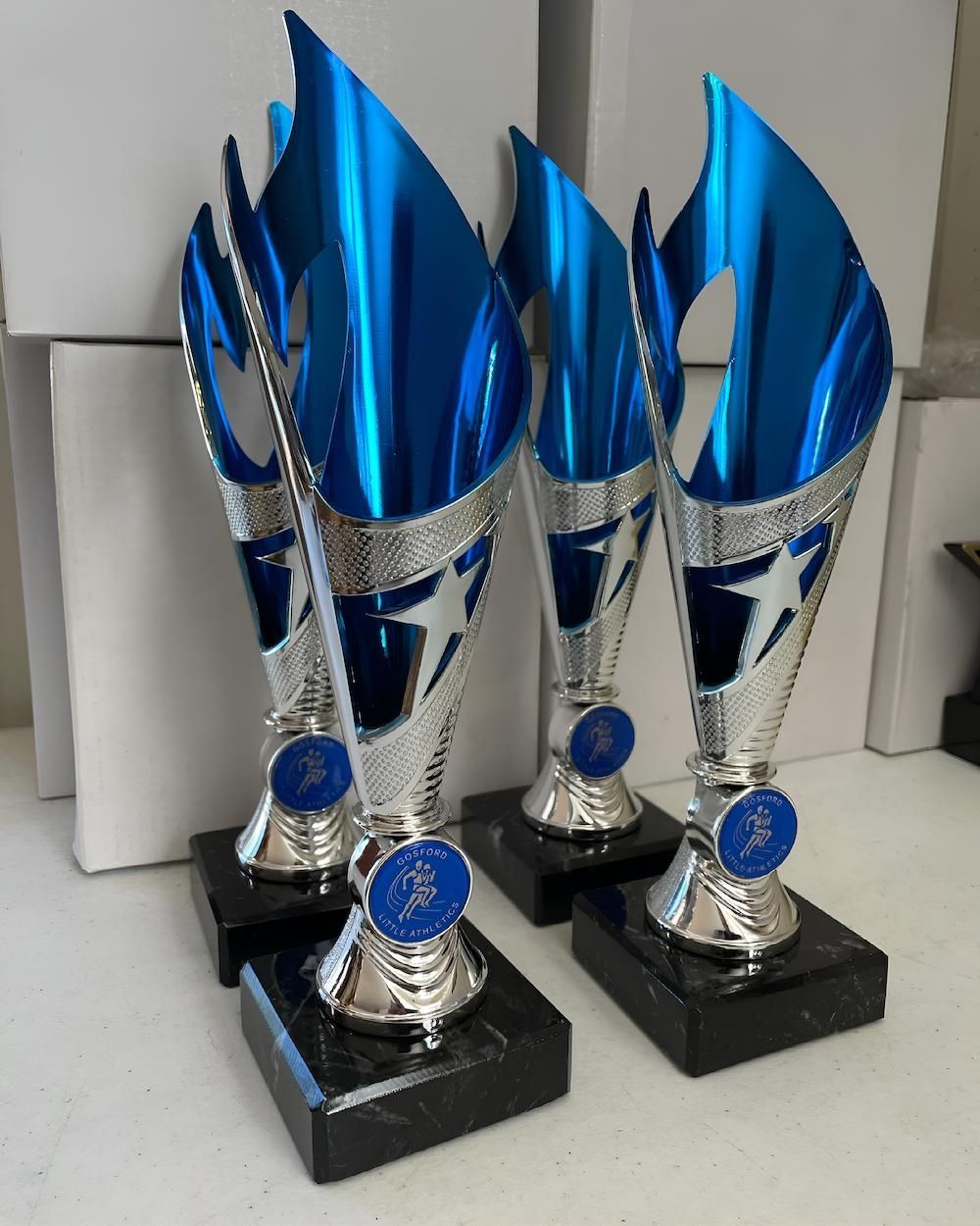 Four Blue and Silver Trophies Are Sitting on a Table — Framing Alternative in Erina Heights, NSW