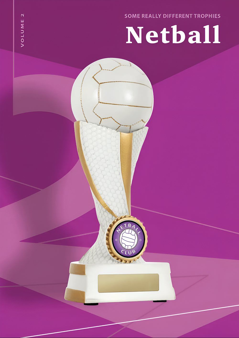 Netball Trophy — Framing Alternative in Erina Heights, NSW