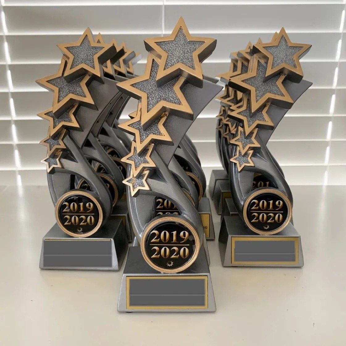 A Group of Trophies from The Year 2019 and 2020 — Framing Alternative in Erina Heights, NSW