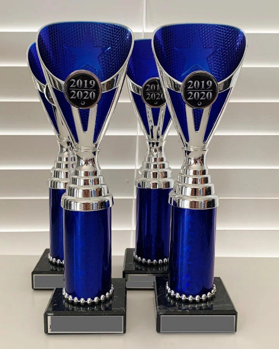 Four Blue and Silver Trophies Are Sitting on A Table — Framing Alternative in Erina Heights, NSW