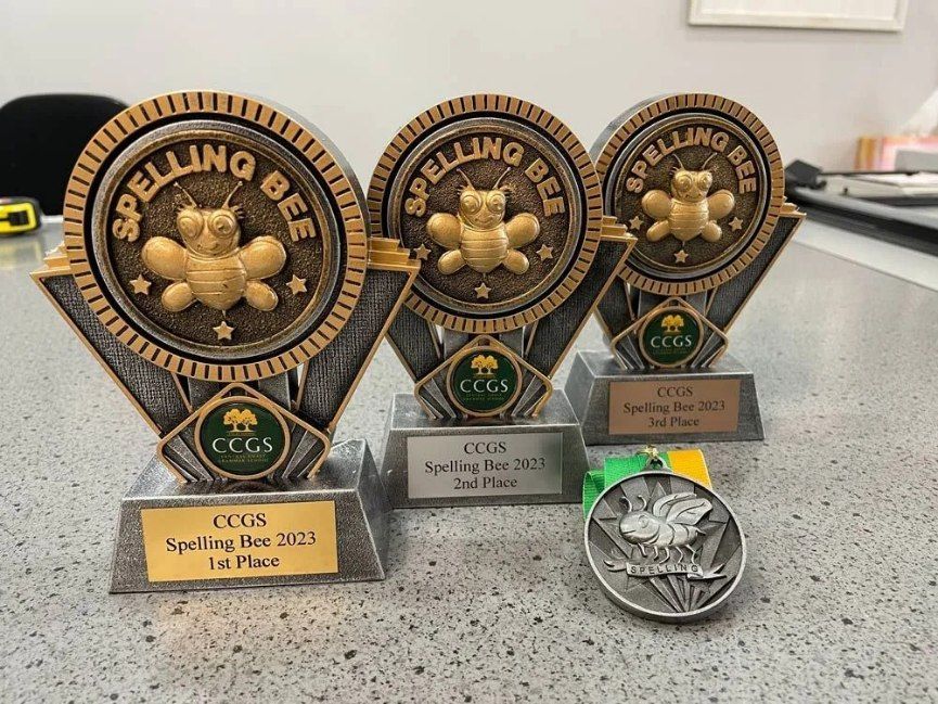 Three Trophies and A Medal Are Sitting on A Table — Framing Alternative in Erina Heights, NSW