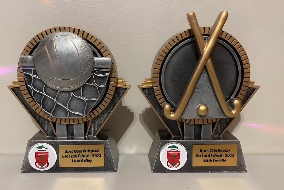 Two Trophies With a Volleyball and Hockey Stick on Them — Framing Alternative in Erina Heights, NSW