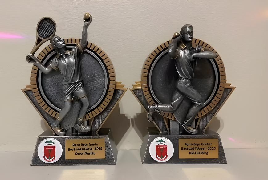Two Tennis Trophies Are Sitting Next to Each Other on a Table — Framing Alternative in Erina Heights, NSW