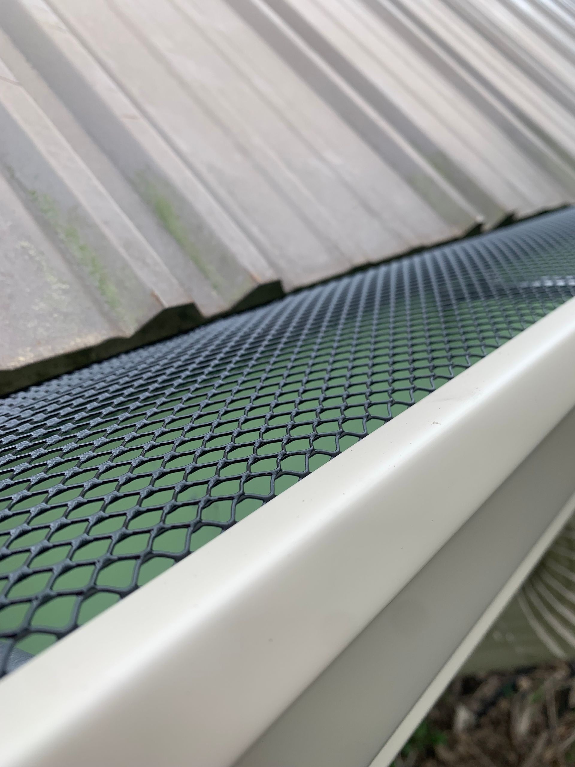 Close-up of a gutter with a black mesh screen, under a corrugated metal roof.