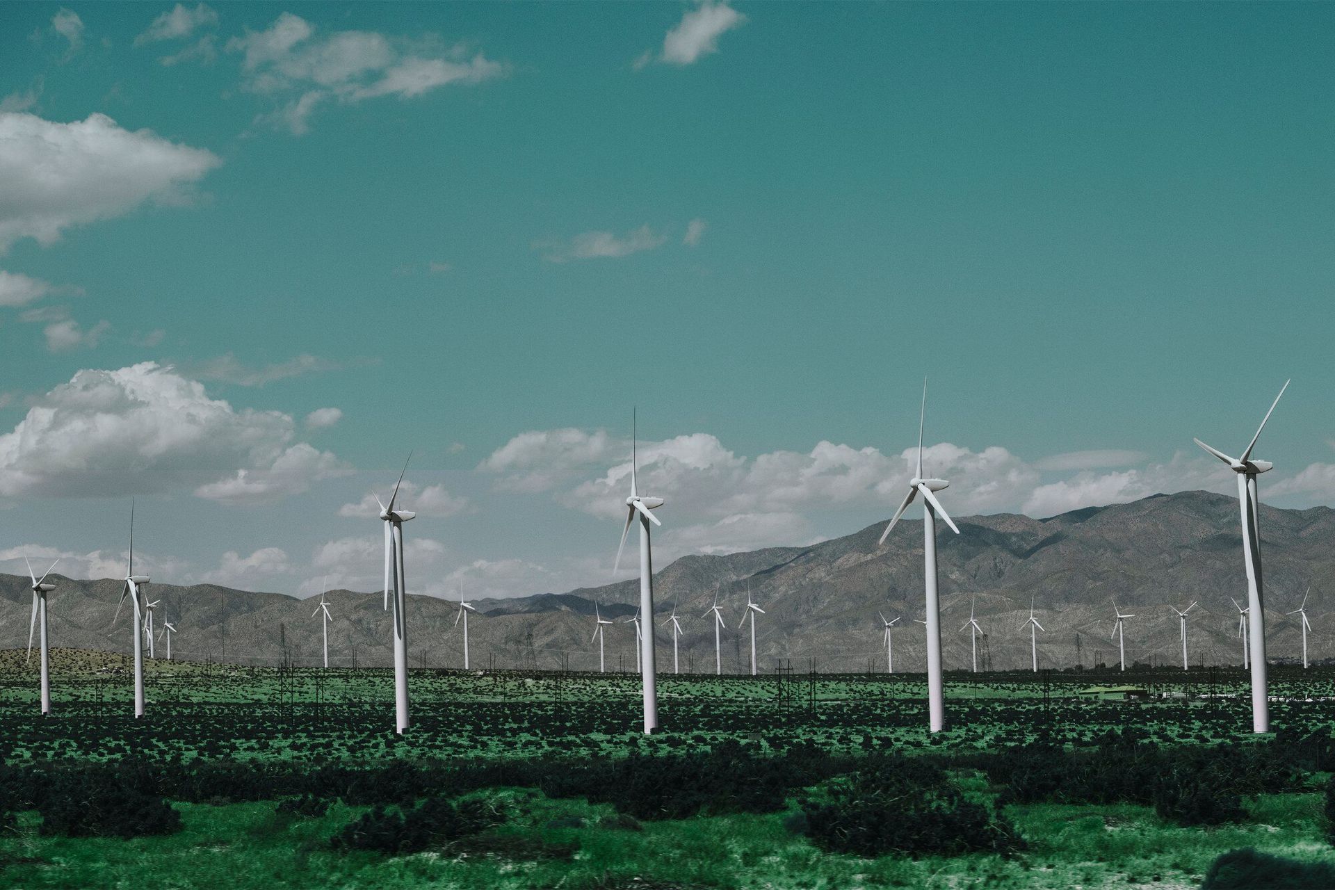 A row of wind turbines in a field with mountains in the background