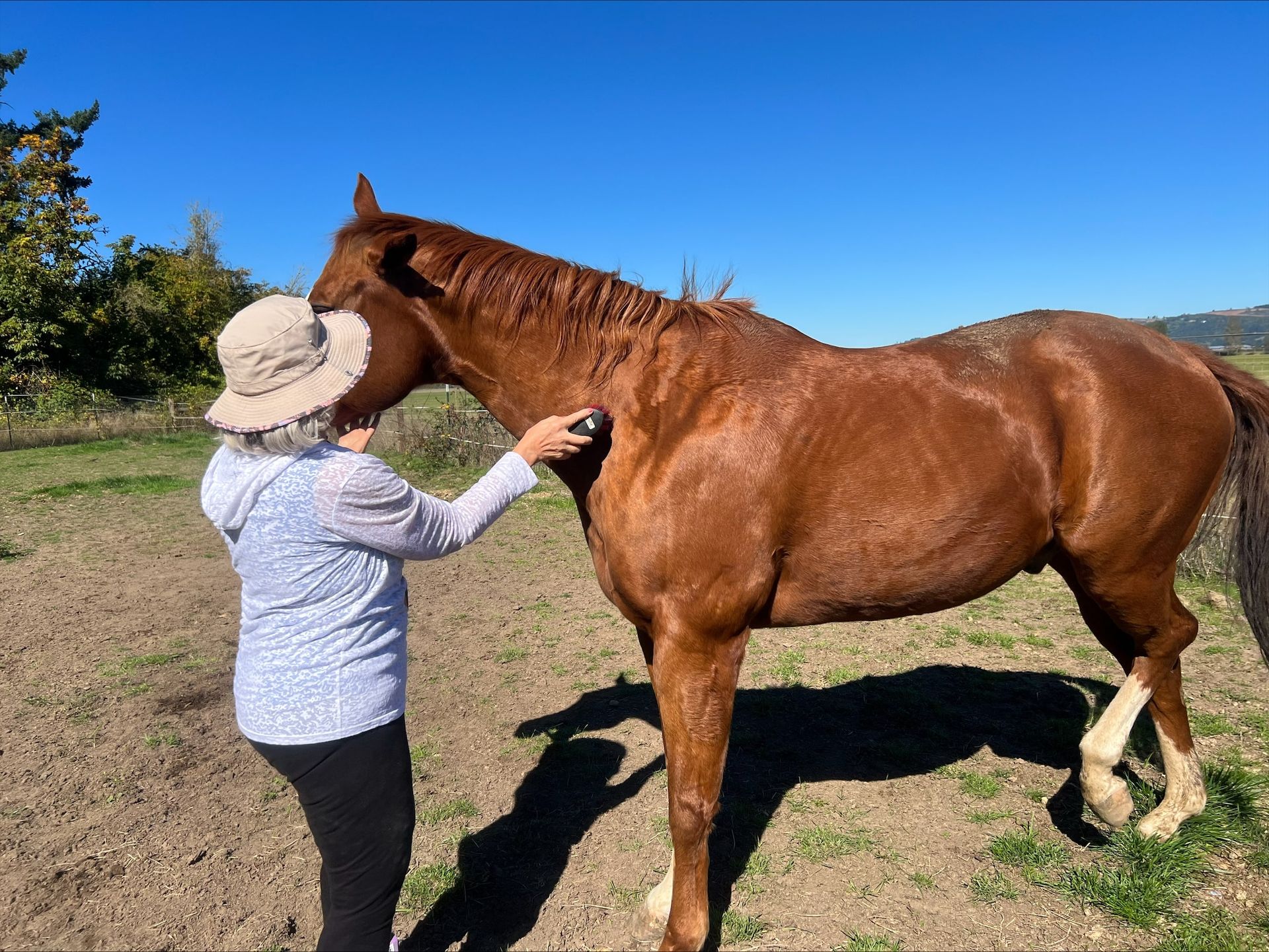 A woman is writing on a clipboard while a man sits in the background.