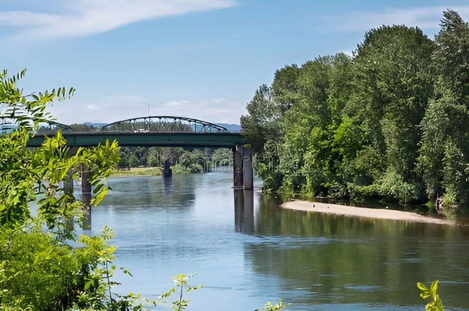 A bridge over a river surrounded by trees on a sunny day