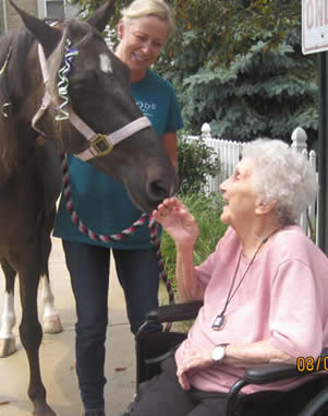 Old woman with a horse pet — contact services in Parma, OH