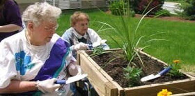 Senior at garden — Medication management in Parma, OH