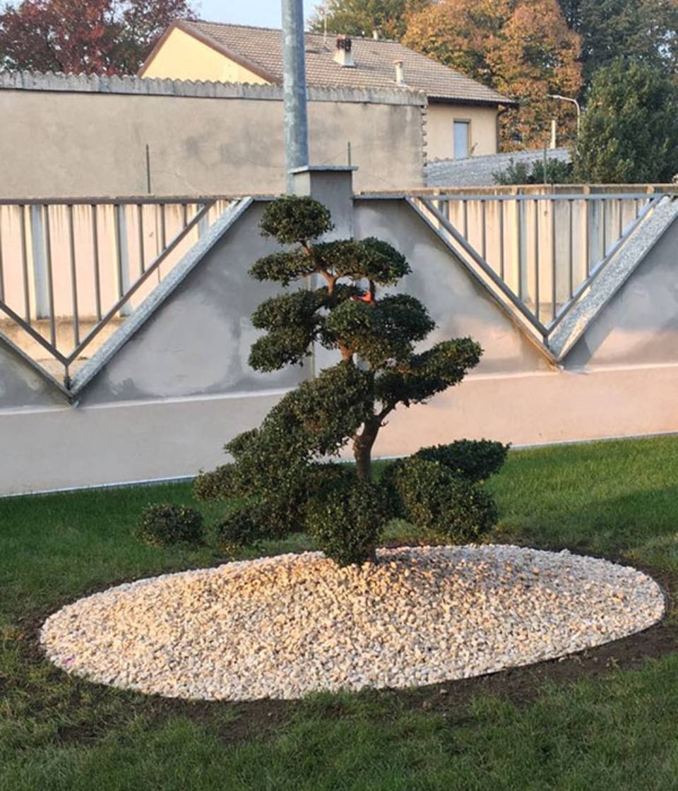 Vivaio piante e fiori