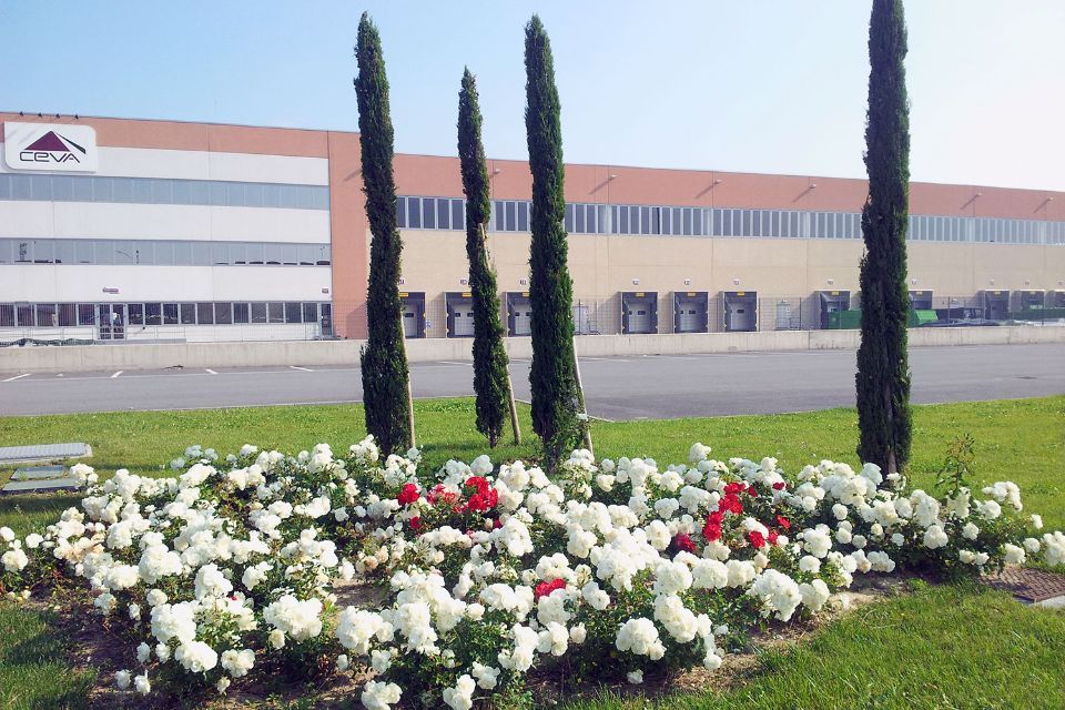 interventi di giardinaggio