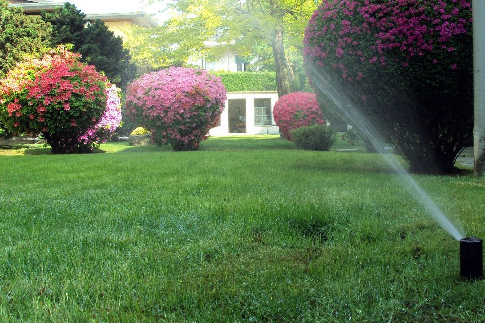 interventi di giardinaggio