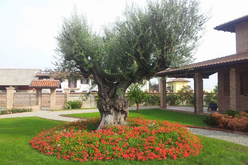 progettazione giardini