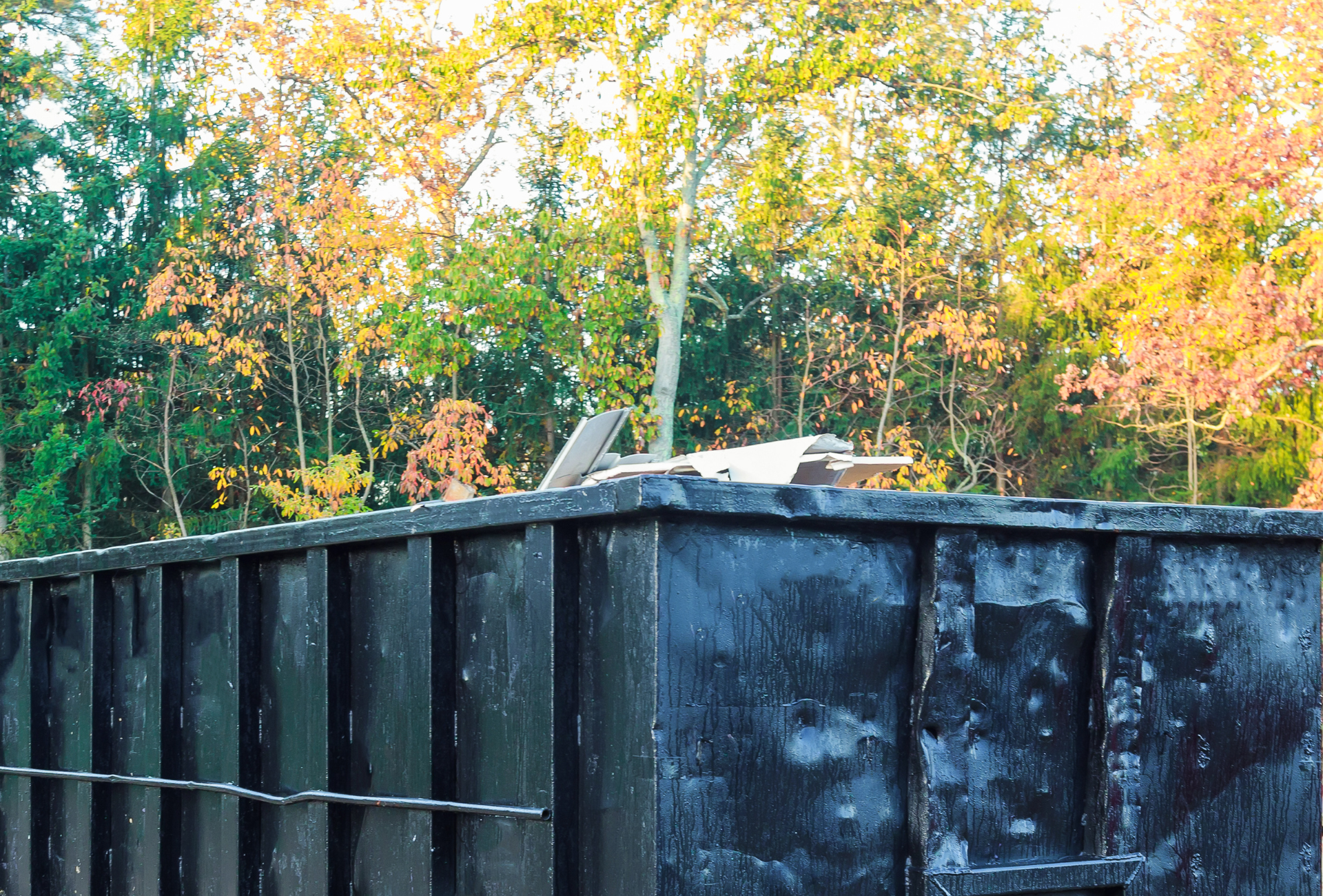 A large black dumpster is sitting in the middle of a forest.