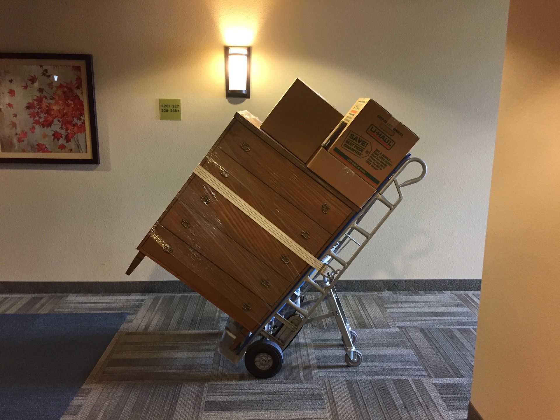 Two movers packing books and a tablet into a cardboard box in a room. Two movers packing books and a tablet into a cardboard box in a room.