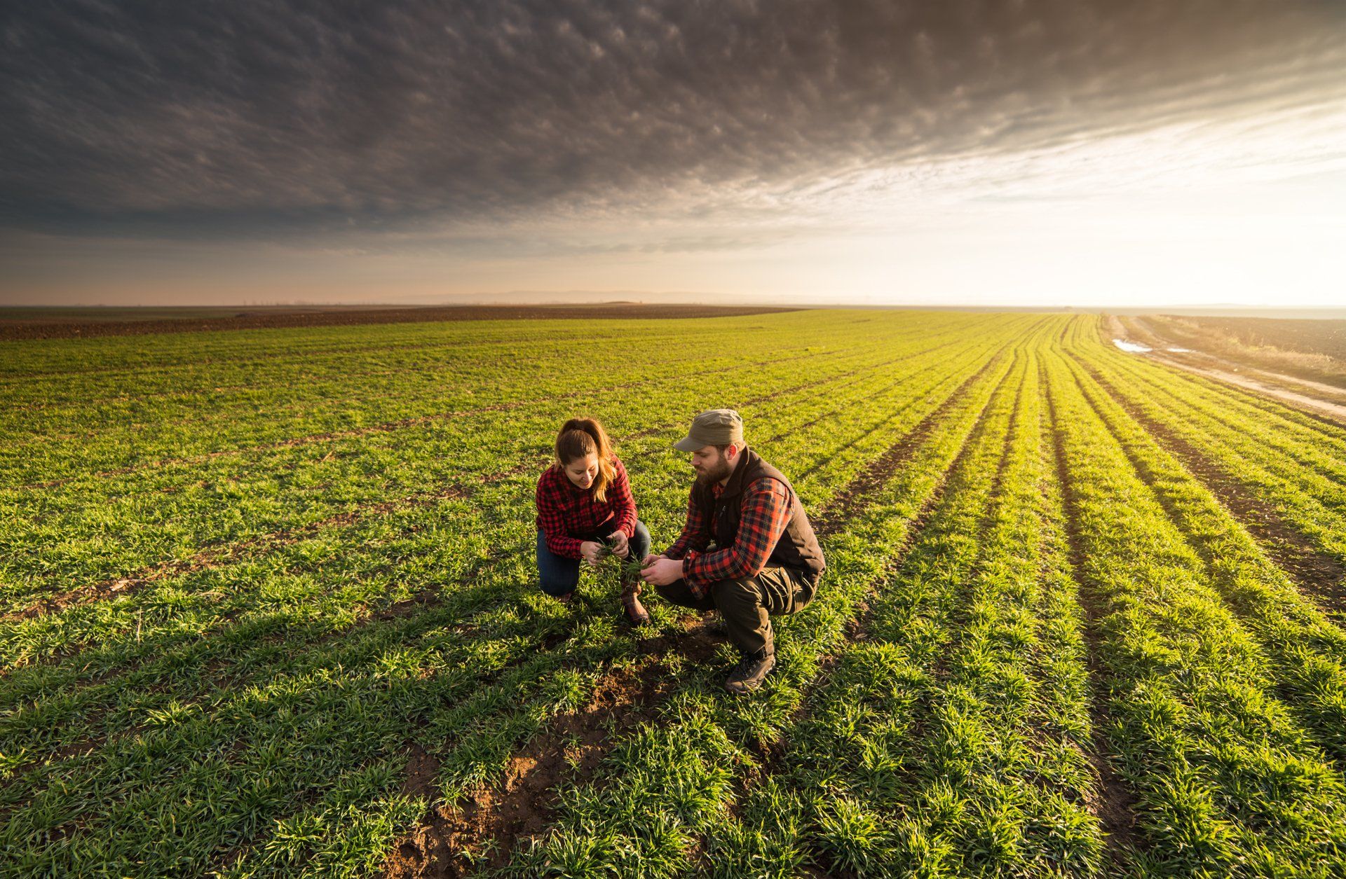 NAVIGATING THE FARM AND RANCH DIVORCE 