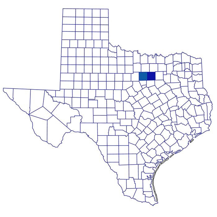 Parker County, Texas Family Law and Probate Attorney