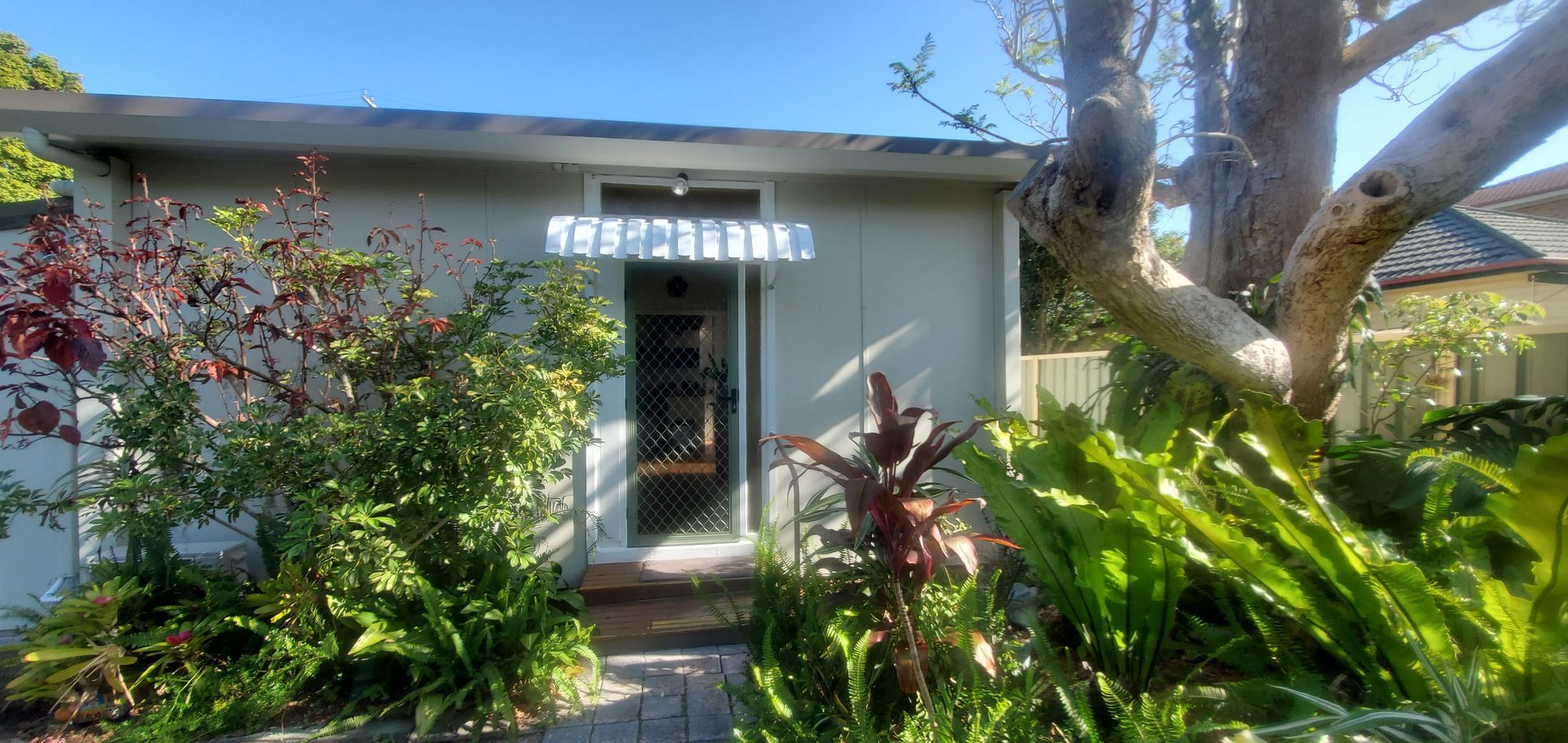 A small white house is surrounded by lots of plants and trees — JWP Painting & Property Services in Ettalong Beach, NSW